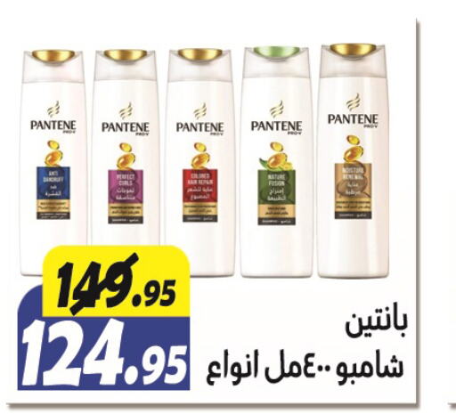 PANTENE Shampoo / Conditioner  in El Fergany Hyper Market   in Egypt - Cairo