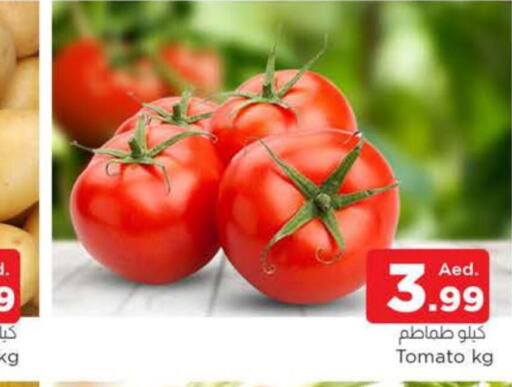  Tomato  in المدينة in الإمارات العربية المتحدة , الامارات - الشارقة / عجمان