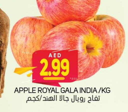  Apples  in سوق المبارك هايبرماركت in الإمارات العربية المتحدة , الامارات - الشارقة / عجمان