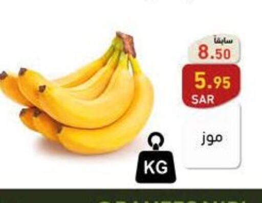  Banana  in أسواق رامز in مملكة العربية السعودية, السعودية, سعودية - المنطقة الشرقية