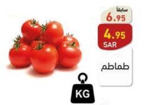  Tomato  in أسواق رامز in مملكة العربية السعودية, السعودية, سعودية - المنطقة الشرقية