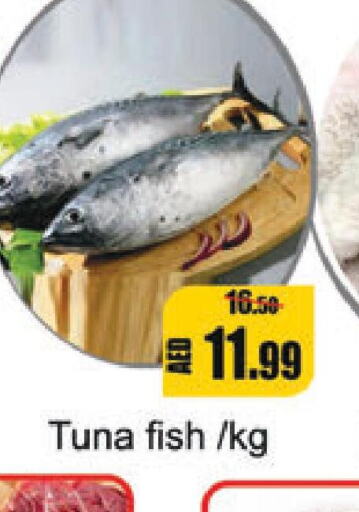  Tuna  in Leptis Hypermarket  in UAE - Ras al Khaimah