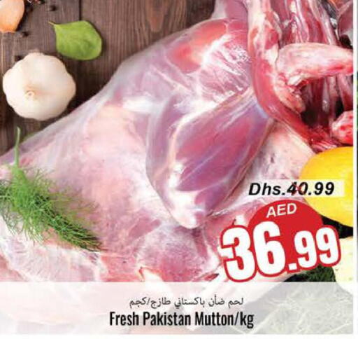  Mutton / Lamb  in PASONS GROUP in UAE - Fujairah