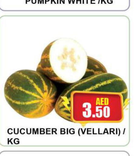  Cucumber  in كويك سوبرماركت in الإمارات العربية المتحدة , الامارات - الشارقة / عجمان