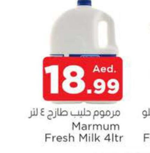 MARMUM Fresh Milk  in AL MADINA in UAE - Sharjah / Ajman