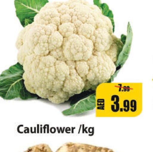  Cauliflower  in ليبتس هايبرماركت in الإمارات العربية المتحدة , الامارات - أم القيوين‎