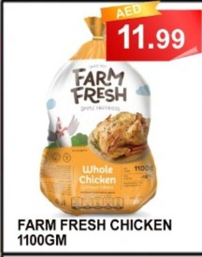 FARM FRESH Fresh Whole Chicken  in Majestic Plus Hypermarket in UAE - Abu Dhabi