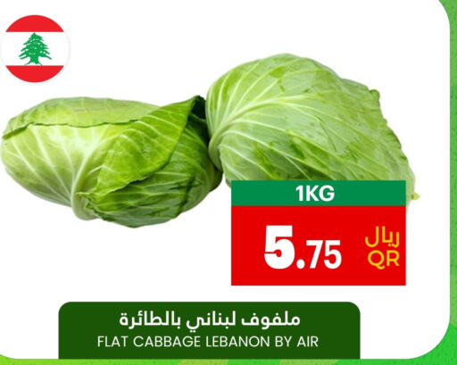  Cabbage  in Village Markets  in Qatar - Umm Salal