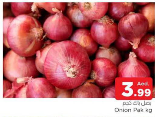  Onion  in المدينة in الإمارات العربية المتحدة , الامارات - الشارقة / عجمان