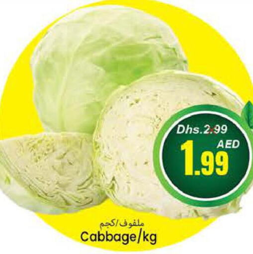  Cabbage  in PASONS GROUP in UAE - Fujairah