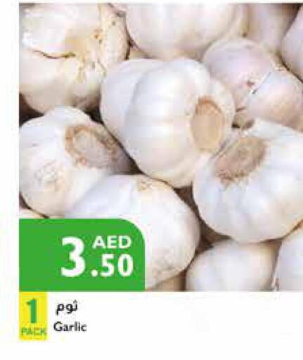  Garlic  in Istanbul Supermarket in UAE - Abu Dhabi