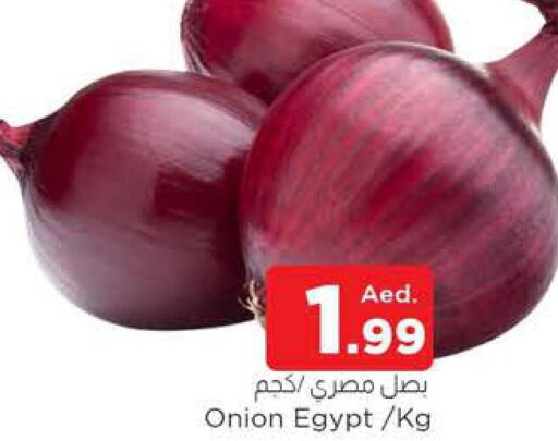  Onion  in المدينة in الإمارات العربية المتحدة , الامارات - الشارقة / عجمان