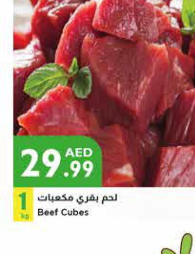  Beef  in Istanbul Supermarket in UAE - Ras al Khaimah