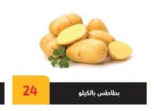  Potato  in هايبر سامي سلامة وأولاده in Egypt - القاهرة