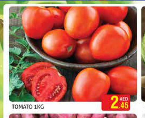  Tomato  in مركز النخيل هايبرماركت in الإمارات العربية المتحدة , الامارات - الشارقة / عجمان