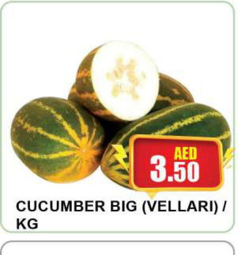  Cucumber  in كويك سوبرماركت in الإمارات العربية المتحدة , الامارات - الشارقة / عجمان