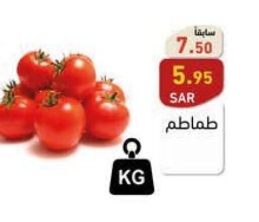  Tomato  in أسواق رامز in مملكة العربية السعودية, السعودية, سعودية - الرياض