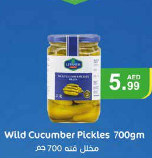 AMUL Pickle  in إسطنبول سوبرماركت in الإمارات العربية المتحدة , الامارات - أبو ظبي