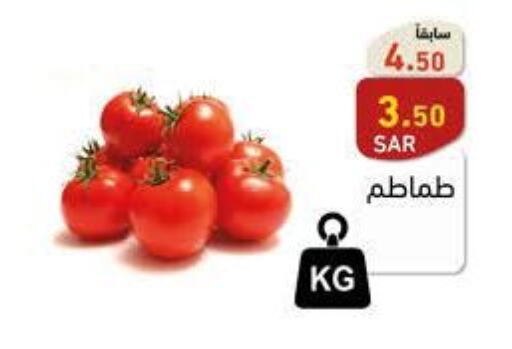  Tomato  in أسواق رامز in مملكة العربية السعودية, السعودية, سعودية - الأحساء‎