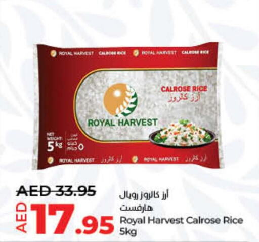  Calrose Rice  in Lulu Hypermarket in UAE - Fujairah