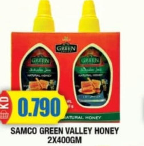  Honey  in Ambassador Supermarkets & Hypermarkets in Kuwait - Kuwait City