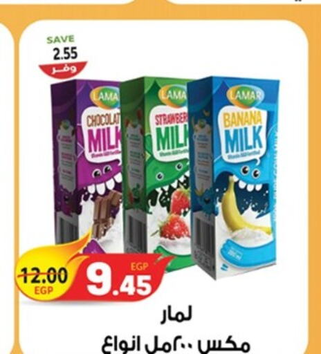  Flavoured Milk  in The Mart  in Egypt - Cairo