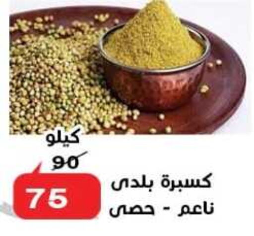    in الدنيا بخير in Egypt - القاهرة