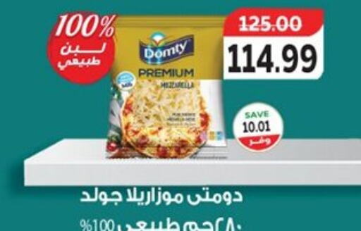 DOMTY Mozzarella  in The Mart  in Egypt - Cairo