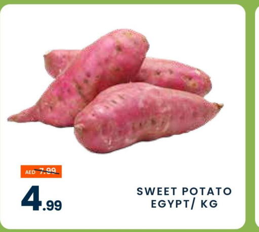  Sweet Potato  in مدهور سوبرماركت in الإمارات العربية المتحدة , الامارات - دبي