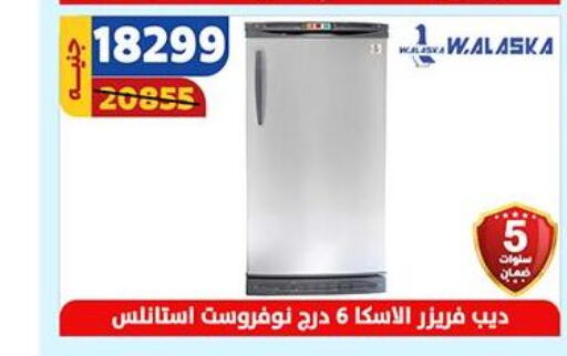  Freezer  in Shaheen Center in Egypt - Cairo