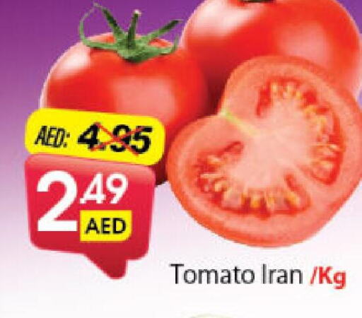  Tomato  in ديزرت فريش ماركت in الإمارات العربية المتحدة , الامارات - أبو ظبي