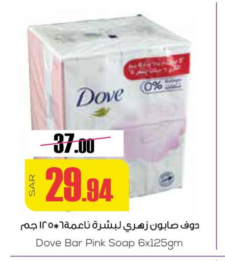 DOVE   in Sapt in KSA, Saudi Arabia, Saudi - Buraidah