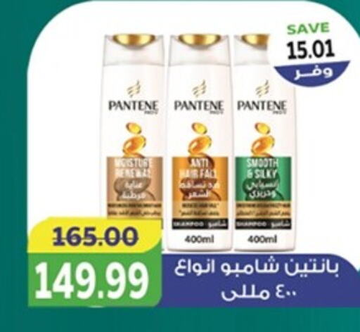 PANTENE شامبو / بلسم  in  in Egypt - القاهرة