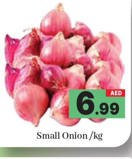  Onion  in AL MADINA (Dubai) in UAE - Dubai