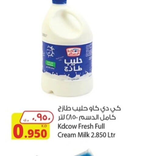 KD COW Full Cream Milk  in شركة المنتجات الزراعية الغذائية in الكويت - محافظة الأحمدي