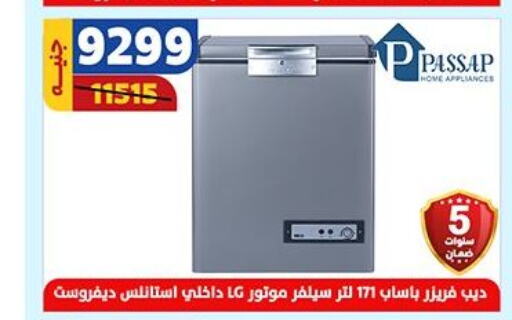  Freezer  in Shaheen Center in Egypt - Cairo