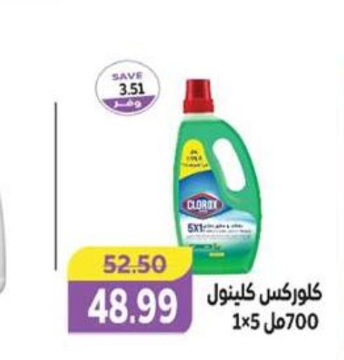 CLOROX منظف عام  in  in Egypt - القاهرة