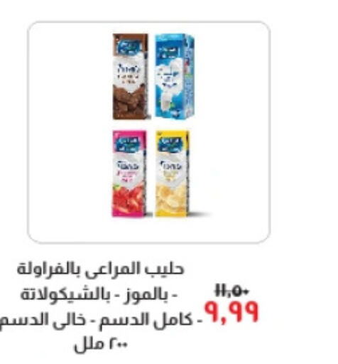 ALMARAI Long Life / UHT Milk  in Kheir Zaman  in Egypt - Cairo