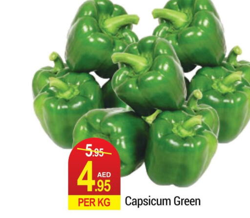  Chilli / Capsicum  in Rich Supermarket in UAE - Dubai