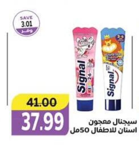 SIGNAL Toothpaste  in The Mart  in Egypt - Cairo