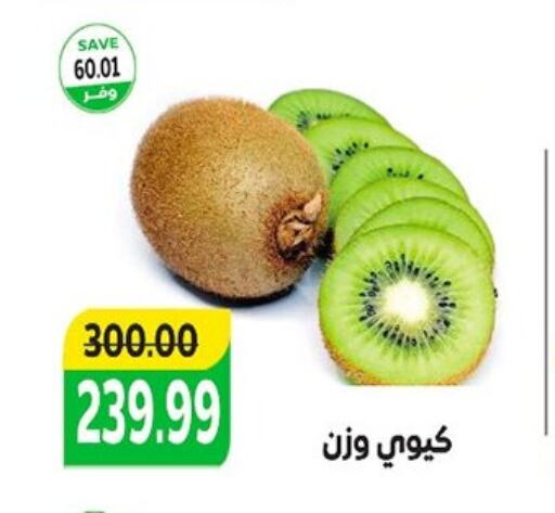  Kiwi  in The Mart  in Egypt - Cairo