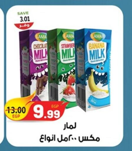  Flavoured Milk  in The Mart  in Egypt - Cairo