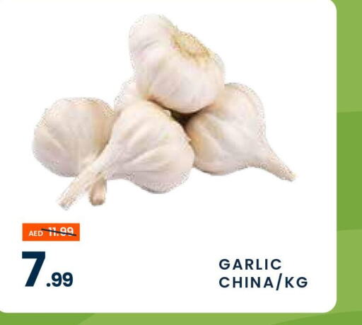  Garlic  in مدهور سوبرماركت in الإمارات العربية المتحدة , الامارات - دبي