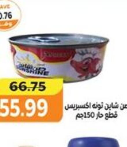  Tuna - Canned  in The Mart  in Egypt - Cairo