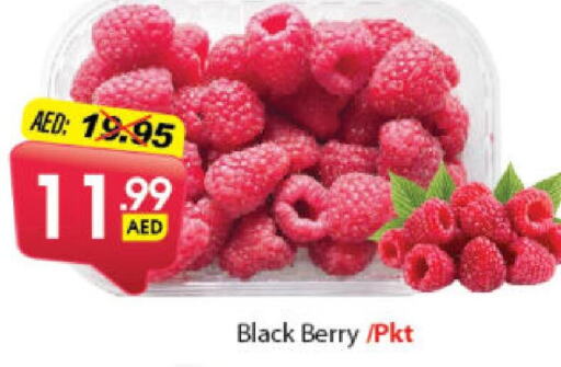    in DESERT FRESH MARKET  in UAE - Abu Dhabi