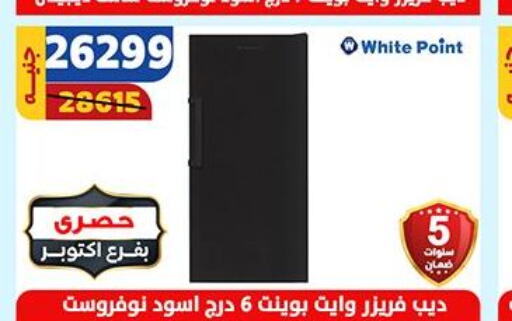 WHITE POINT Freezer  in Shaheen Center in Egypt - Cairo