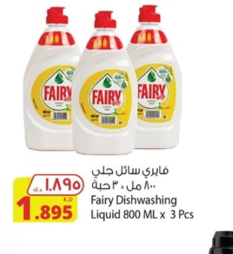 FAIRY   in Agricultural Food Products Co. in Kuwait - Ahmadi Governorate