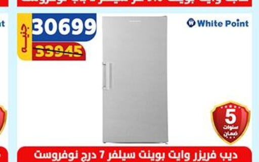  Freezer  in Shaheen Center in Egypt - Cairo