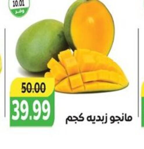  Mangoes  in The Mart  in Egypt - Cairo