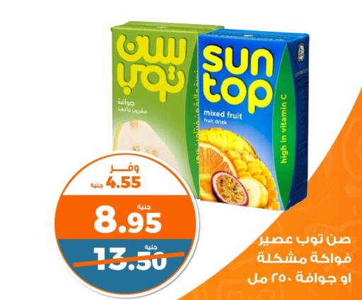 SUNTOP   in كازيون in Egypt - القاهرة